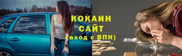 гидра Надым