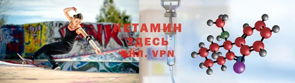 гидра Надым