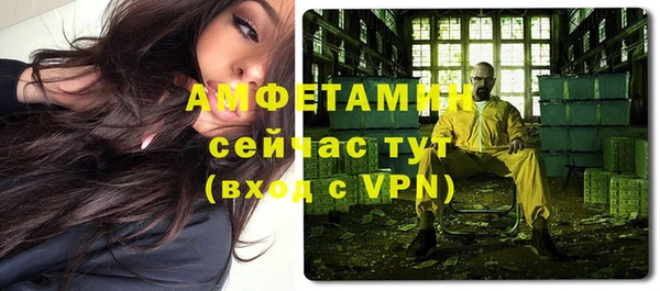 гидра Надым