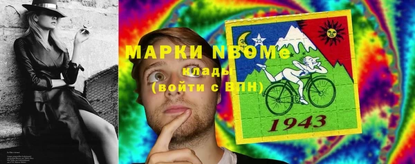 гидра Надым