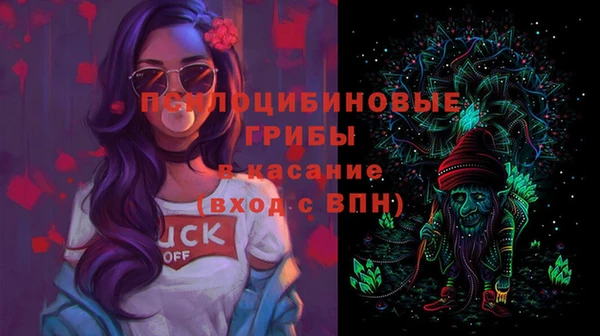 гидра Надым