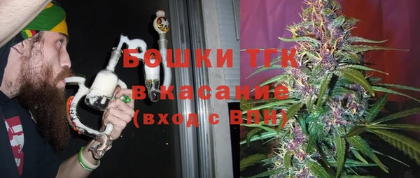 гидра Надым