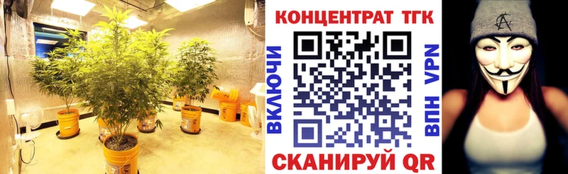 наркошоп  Киржач  Дистиллят ТГК жижа 