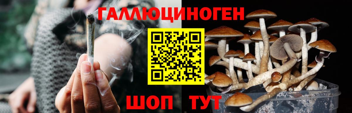 Галлюциногенные грибы GOLDEN TEACHER  Вход с VPN  Киржач  Псилоцибиновые грибы прущие грибы 